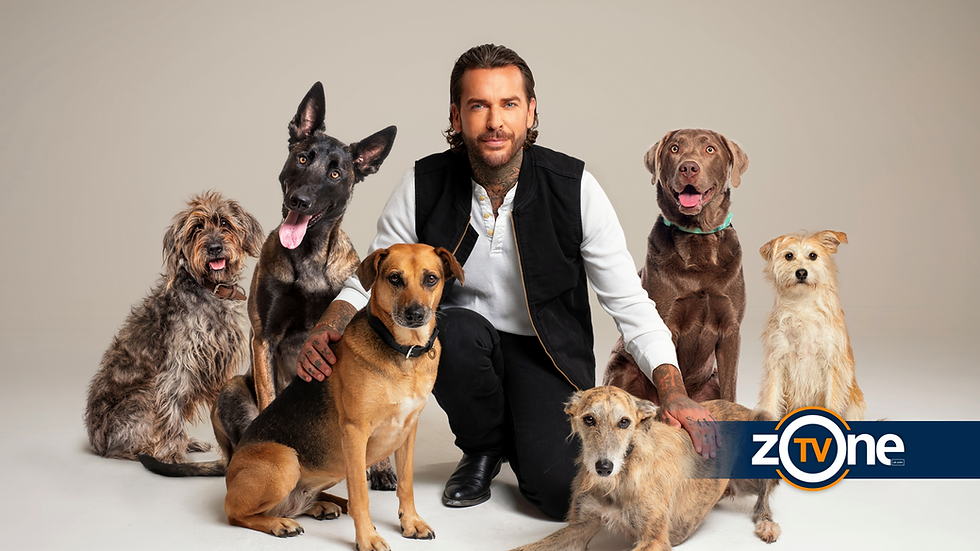 Pete Wicks: For Dogs’ Sake | Series 4 Preview (U&W)