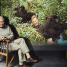 BBC MARK DAVID ATTENBOROUGH'S 100th BIRTHDAY WITH SLATE OF NEW COMMISSIONS