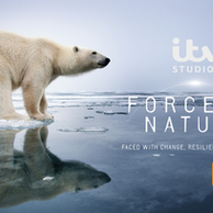 FORCE OF NATURE: ANDREW LINCOLN TO NARRATE NEW ITV NATURE SERIES