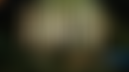 TEMPTING FORTUNE CONFIRMED FOR THIRD SERIES ON CHANNEL 4 AS PADDY McGUINNESS STEPS DOWN AS HOST