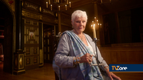 SHAKESPEARE, MY FAMILY AND ME: DAME JUDI DENCH TO FRONT NEW CHANNEL 4 DOCUMENTARY