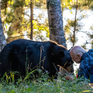 BEARWALKER: BBC TO RELL THE LIFE STORY OF WILDLIFE BIOLOGIST LYNN ROGERS