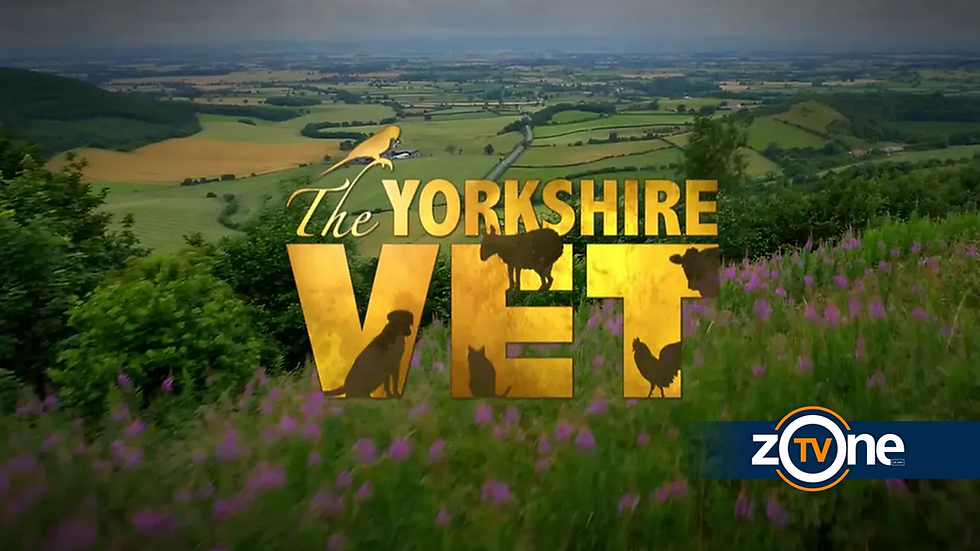The Yorkshire Vet | Series 23 Preview (5)