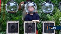 I'M A CELEBRITY: FIRST LOOK AT TONIGHT'S FINAL TRIAL, SUNDAY 07 DECEMBER