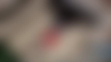 I'M A CELEBRITY: FIRST LOOK AT TONIGHT'S TRIAL, WEDNESDAY 03rd DECEMBER