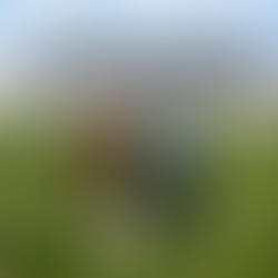 GRAND ISLAND HOTEL: BANJO BEELE AND HUSBAND RO TO FRONT NEW BBC SERIES