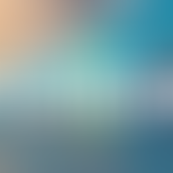 ESCAPE TO FLORIDA: CHANNEL 4 ANNOUNCES NEW DAYTIME SERIES