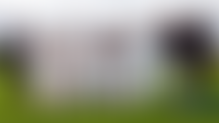 FREDDIE FLINTOFF'S FIELD OF DREAMS RETURNS TO BBC ONE FOR THIRD SERIES