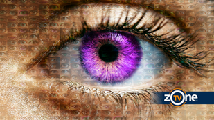 BIG BROTHER LIVE FEED AXED BY ITV