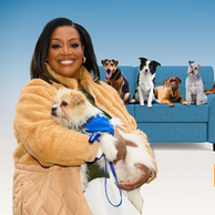 FOR THE LOVE OF DOGS RENEWED FOR THIRD SERIES ON ITV, SERIES SET TO RETURN IN 2026