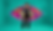 ree