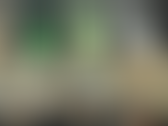 O que é distonia focal?