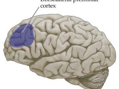 Possíveis Alvos de Tratamento com Estimulação Magnética Transcraniana (EMT)