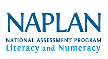 NAPLAN workshop logo