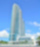 royal-palm.jpg