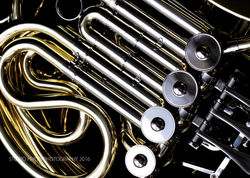 horn