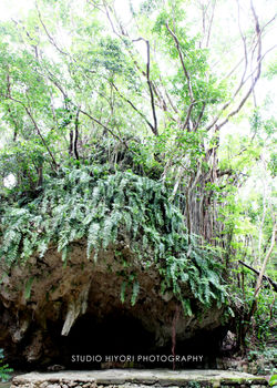 okinawa02