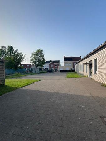 foto koer voorkant