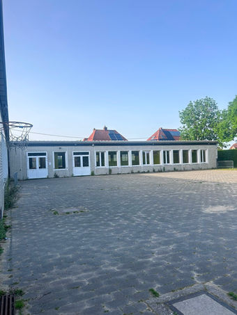 Koer achterkant