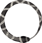 Vector Smart Object copy 9.png
