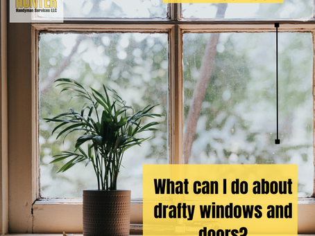 A small plant on a windowsill