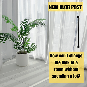 A plant in a white pot next to a window