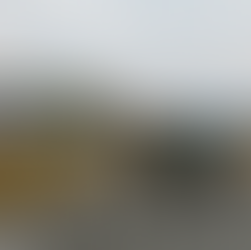 Remembering Fred Branfman