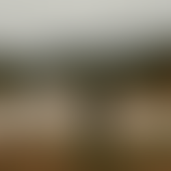 I Will Always Dream Of a Day When Laos Will Be UXO-free