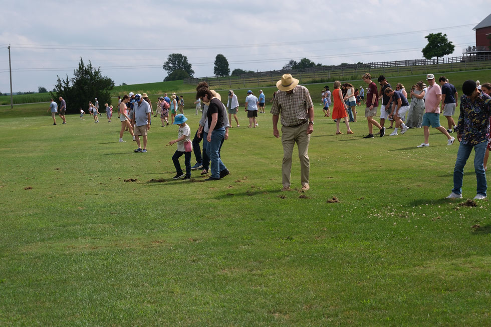 Divot stompin'