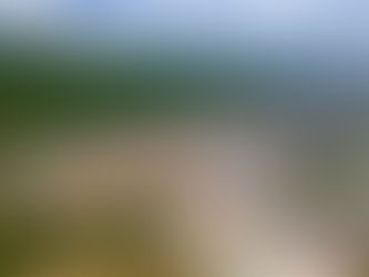 QUẦN THỂ DI TÍCH NHÀ LỚN LONG SƠN VÀ TÍN NGƯỠNG ĐẠO ÔNG TRẦN