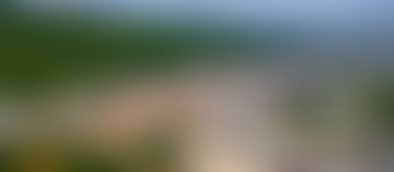 QUẦN THỂ DI TÍCH NHÀ LỚN LONG SƠN VÀ TÍN NGƯỠNG ĐẠO ÔNG TRẦN