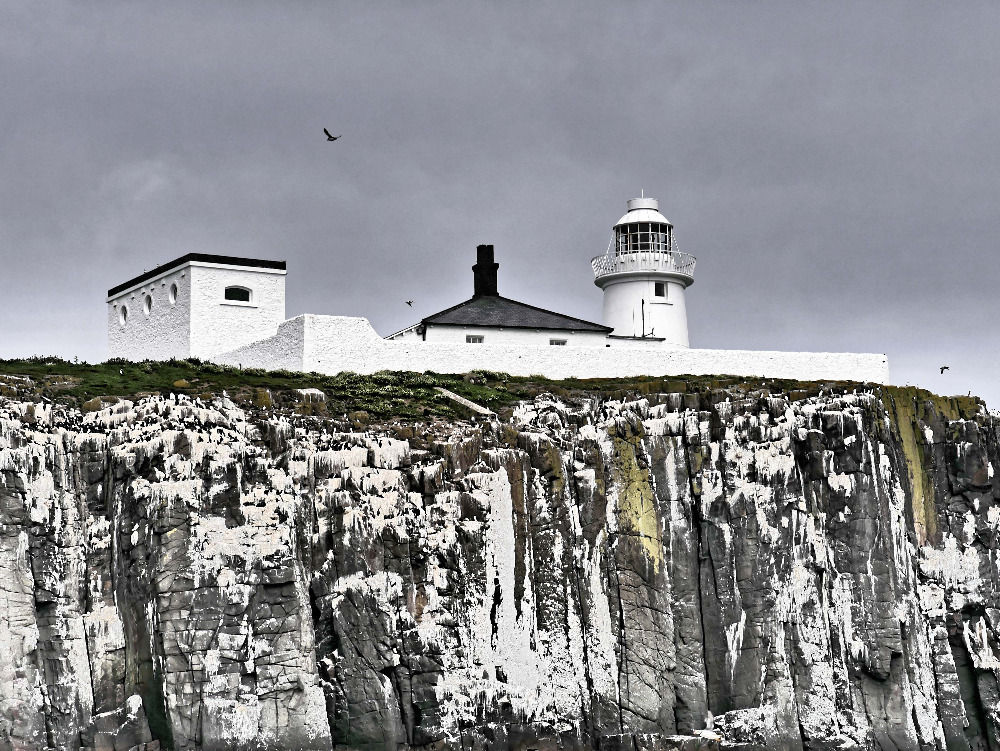 Farne Island Lighthouse P1050826