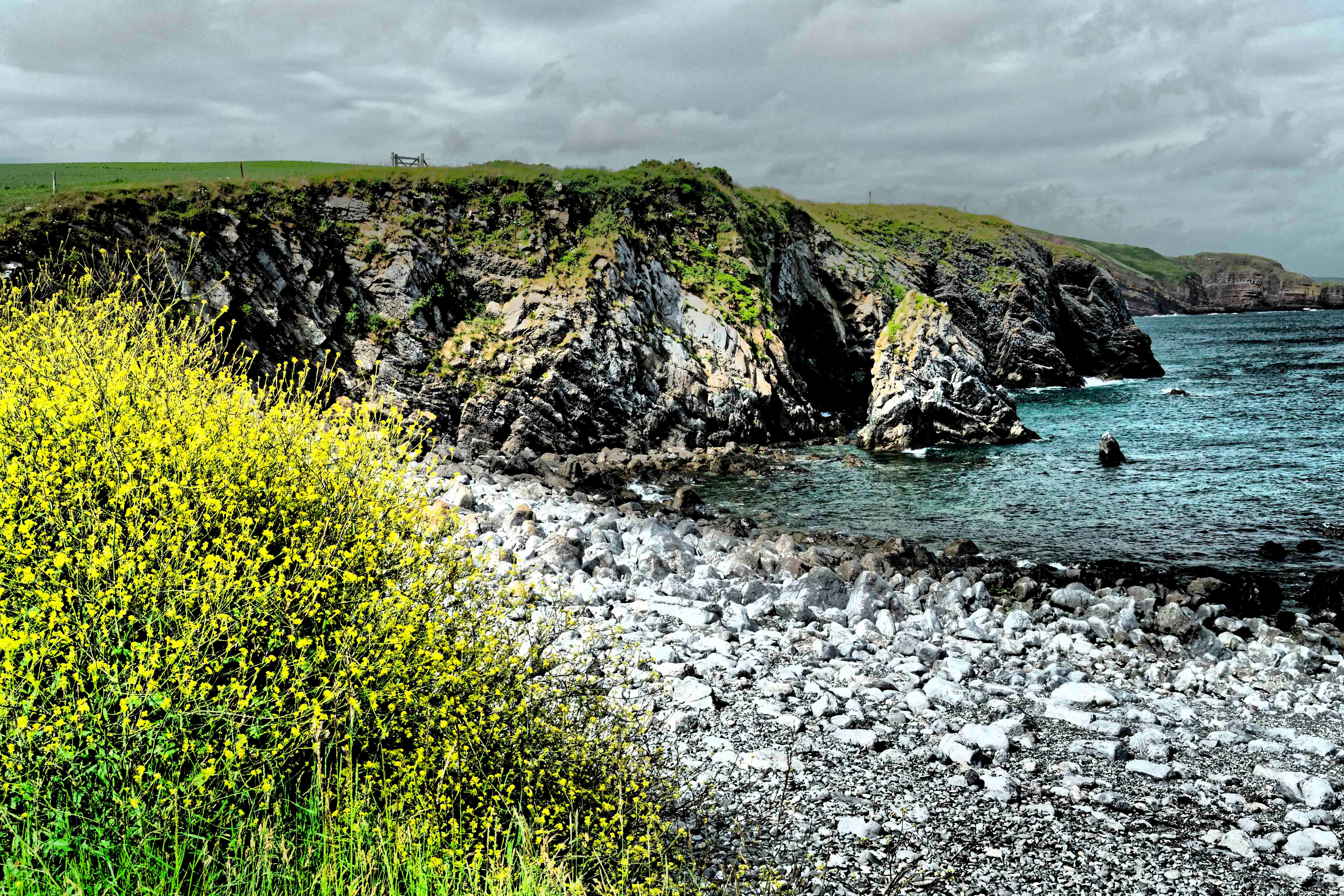 _1110679 Stackpole Quay