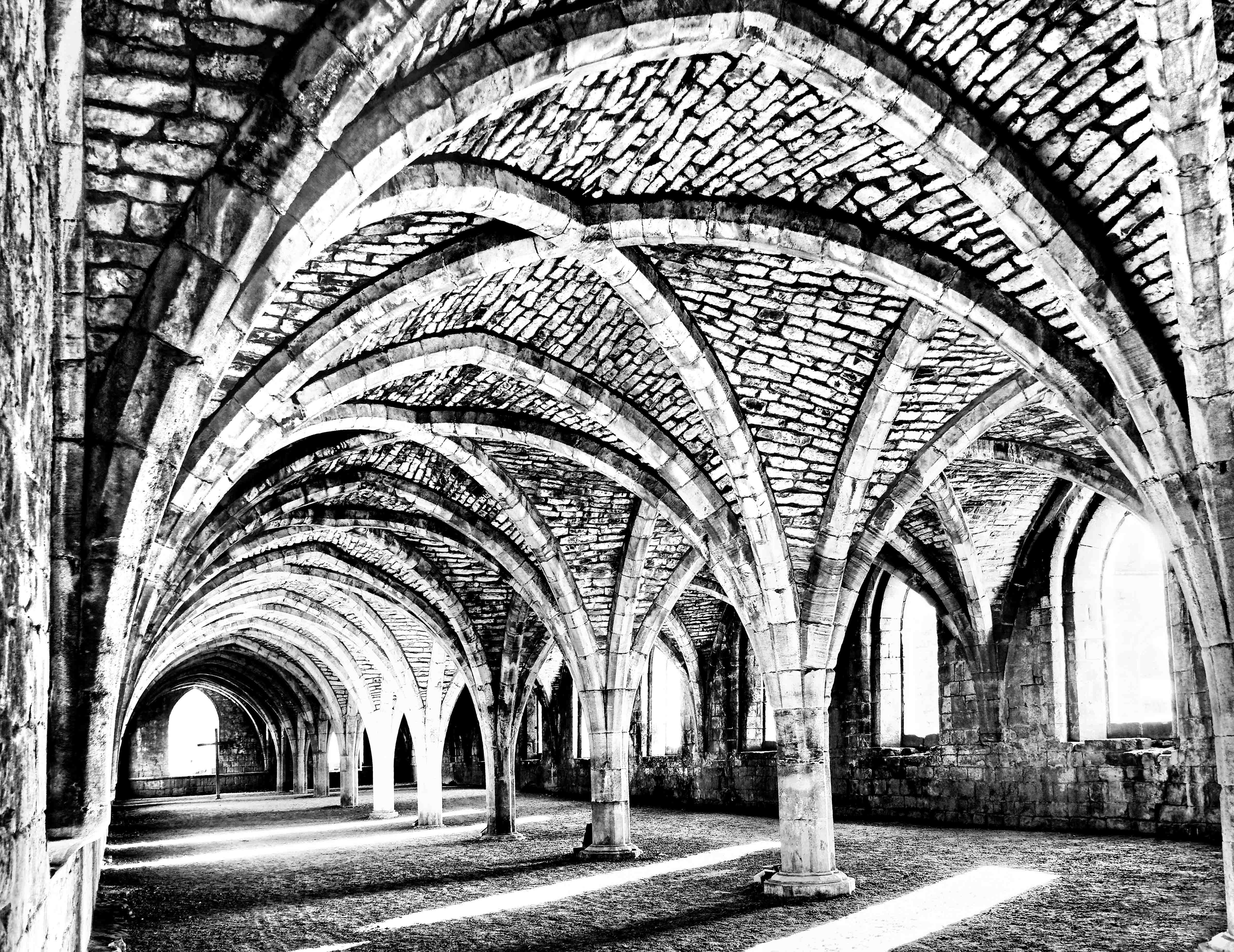 P2250077 The Cloisters Fountains Abbey