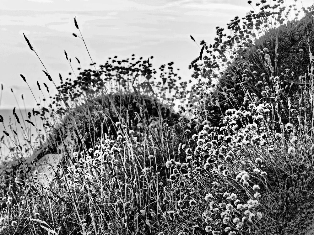 P7190447 Spent Thrift