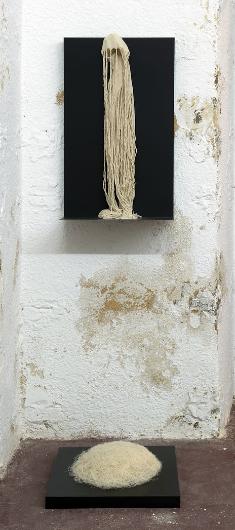 _RDS6222-copy(2) - Cópia.jpg
