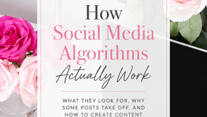 How Social Media Algorithms Actually Work (And Why They're Not Out to Get You)
