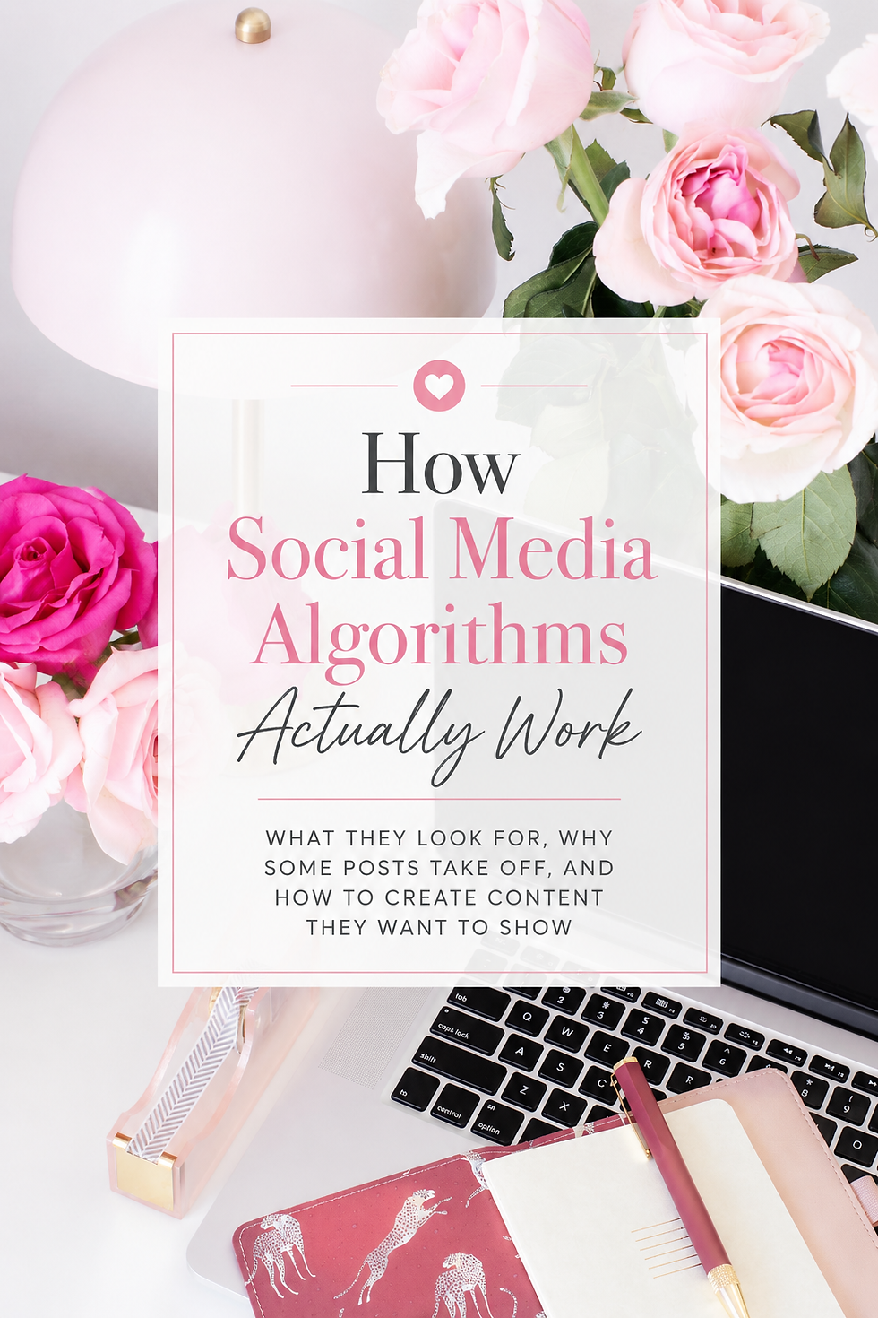 How Social Media Algorithms Actually Work (And Why They're Not Out to Get You)