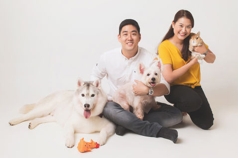 Couple studio photoshoot with their 2 dogs (husky and West Highland White Terrier) and rabbit with white backdrop