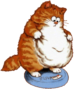 chat-obese.gif