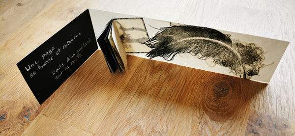 IMG_20250604_113345_edit_122118415 04906_resized_20250606_031705018.jpg