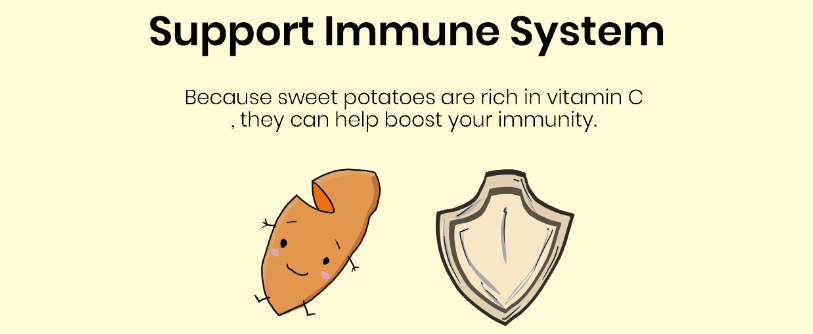 Sweet Potato & Immune System