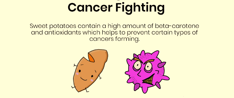 Sweet Potato & Cancer Cell