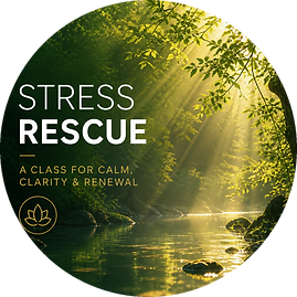 Stress-Rescue-Class-Visual.png
