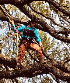 PHOTO-2026-04-21-12-08-46 2.JPG