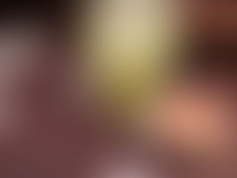 人生初の極上フレンチフルコースを堪能して感動した話
