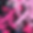 flo1978._graffiti_pink_7bb09c6e-fdd5-4635-b892-308b262369ef.png