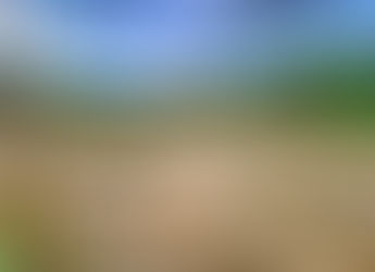 Dublin Zoo Vs Fota Wildlife park: Which is better?