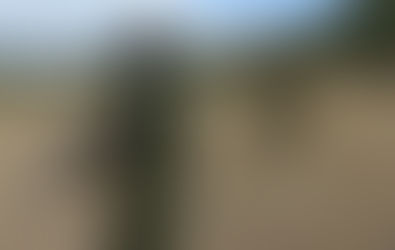 Africa's anti poaching heroes.