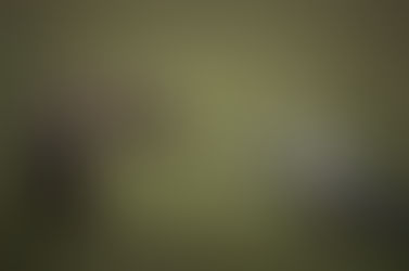 Nature in pictures 2015.